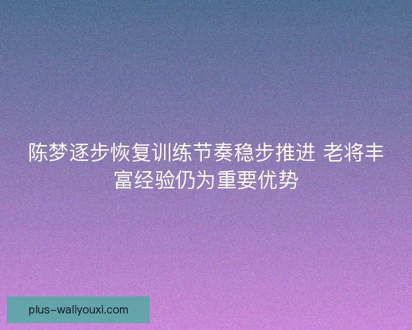 陈梦逐步恢复训练节奏稳步推进 老将丰富经验仍为重要优势