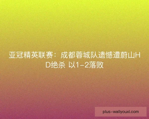 亚冠精英联赛：成都蓉城队遗憾遭蔚山HD绝杀 以1-2落败